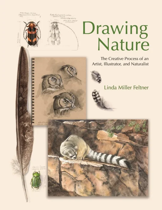 Drawing Nature: The Creative Process of an Artist&#44; Illustrator&#44; and Naturalist