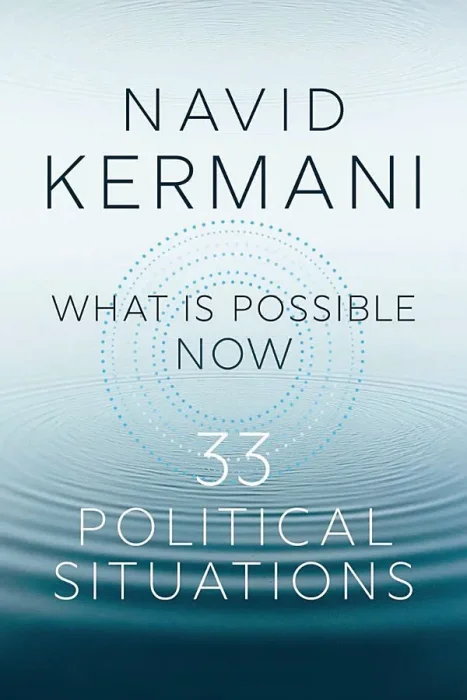 What is Possible Now: 33 Political Situations