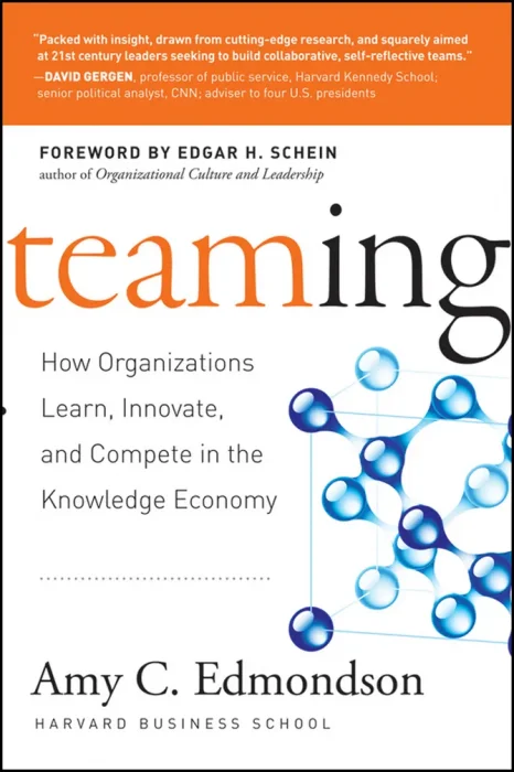 Teaming: How Organizations Learn&#44; Innovate&#44; and Compete in the Knowledge Economy
