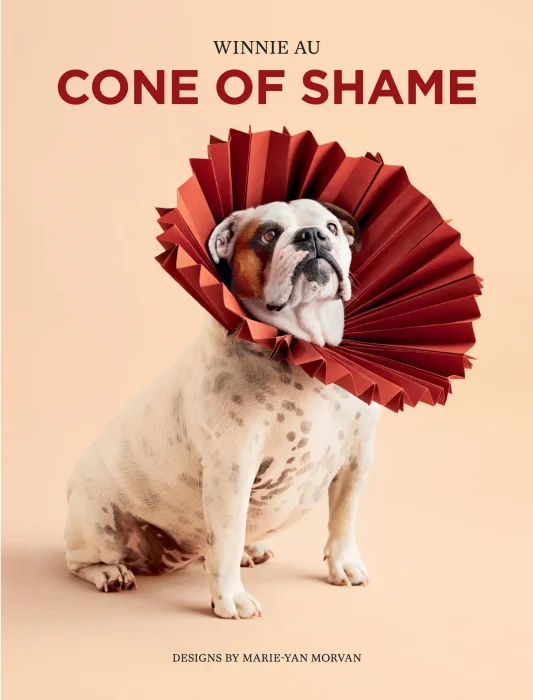 Cone of Shame