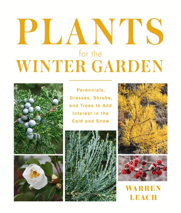 Plants for the Winter Garden: Perennials&#44; Grasses&#44; Shrubs&#44; and Trees to Add Interest in the Cold and Snow