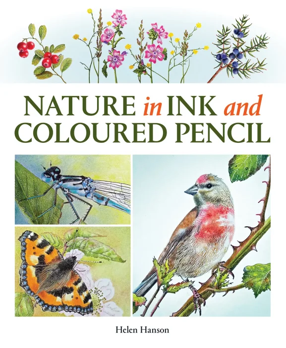 Nature in Ink and Coloured Pencil