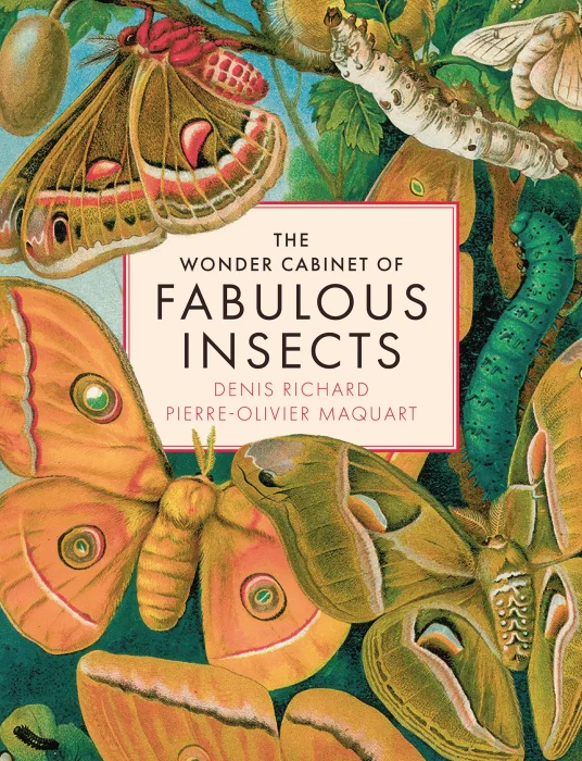 The Wonder Cabinet of Fabulous Insects: Secrets of the World's Rarest and Strangest Insects