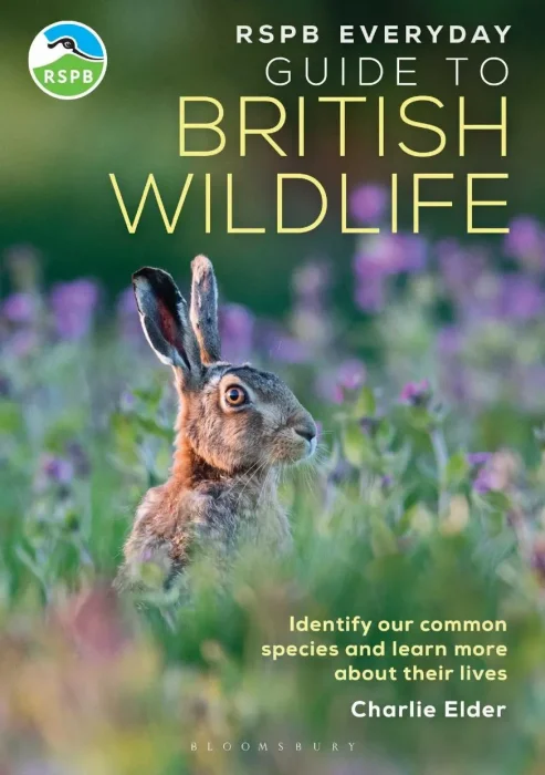 RSPB Everyday Guide to British Wildlife: Identify Our Common Species and Learn More About Their Lives (RSPB)