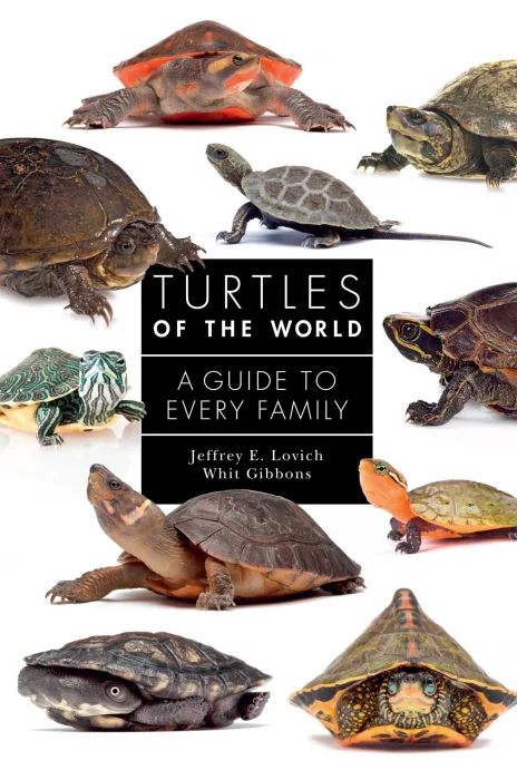 Turtles of the World: A Guide to Every Family