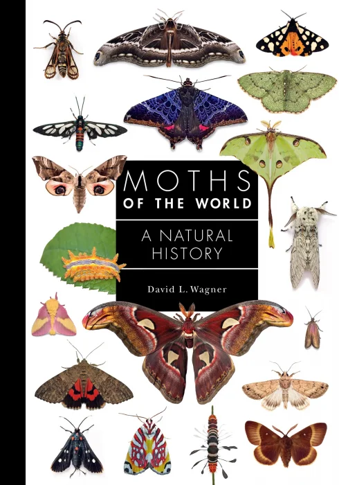 Moths of the World: A Natural History (A Guide to Every Family)