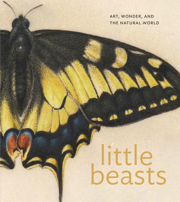Little Beasts: Art&#44; Wonder&#44; and the Natural World