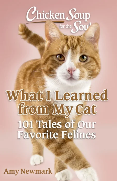 What I Learned from My Cat: 101 Tales of Our Favorite Felines (Chicken Soup for the Soul)