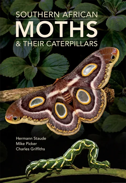 Southern African Moths & their Caterpillars
