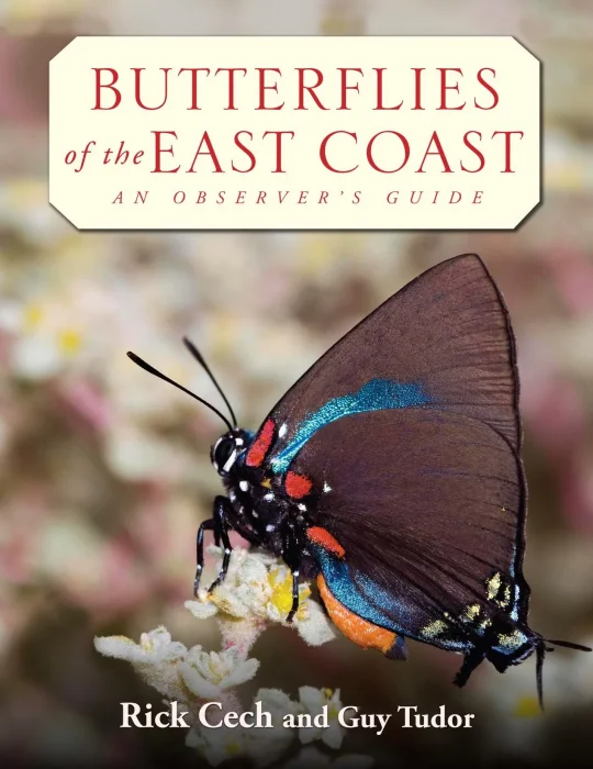 Butterflies of the East Coast: An Observer's Guide