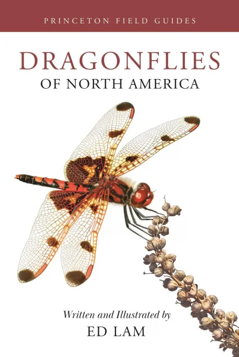Dragonflies of North America (Princeton Field Guides)