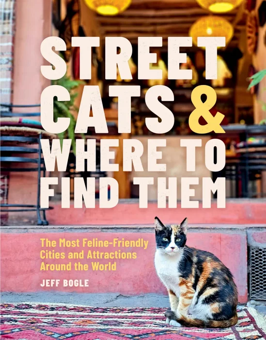 Street Cats & Where to Find Them: The Most Feline-Friendly Cities and Attractions Around the World