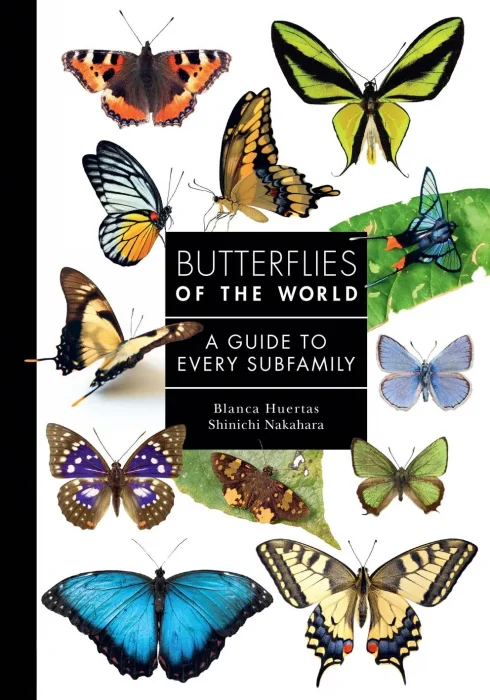 Butterflies of the World: A Guide to Every Subfamily (A Guide to Every Family)