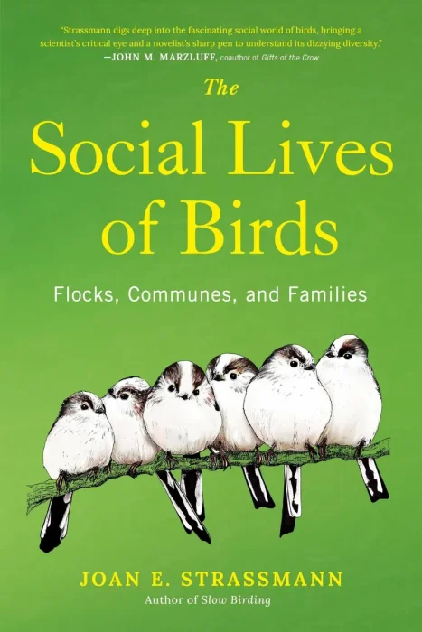 The Social Lives of Birds: Flocks&#44; Communes&#44; and Families