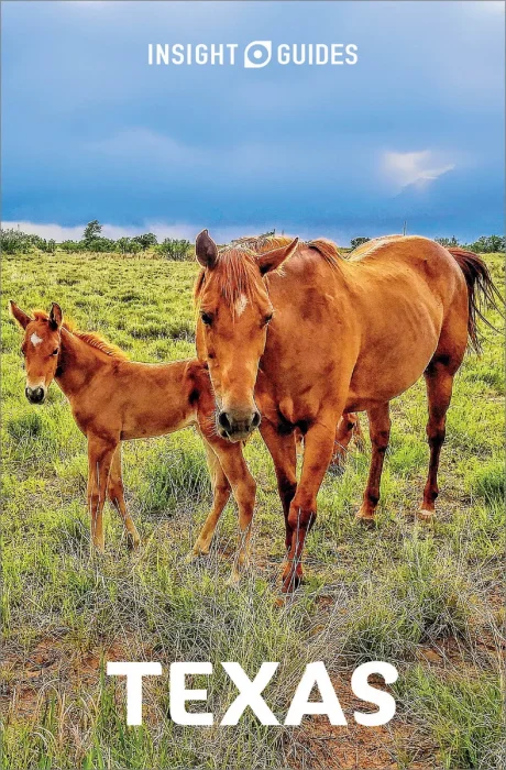 Insight Guides Texas (Insight Guides)&#44; 8th Edition
