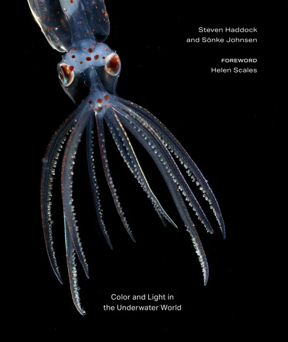 The Radiant Sea: Color and Light In the Underwater World