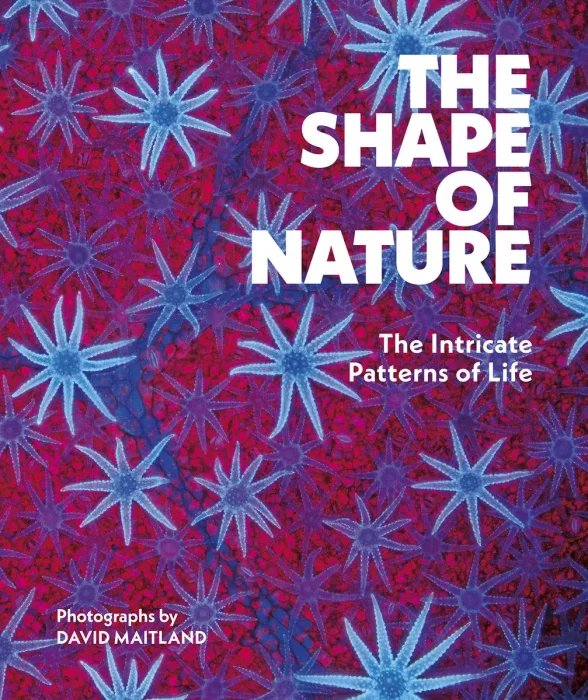 The Shape of Nature: The Intricate Patterns of Life