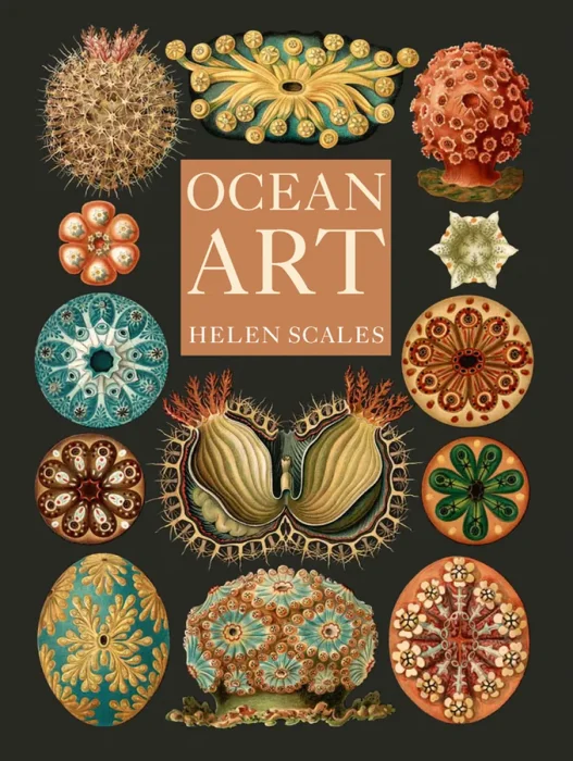 Ocean Art: From the Shore to the Deep