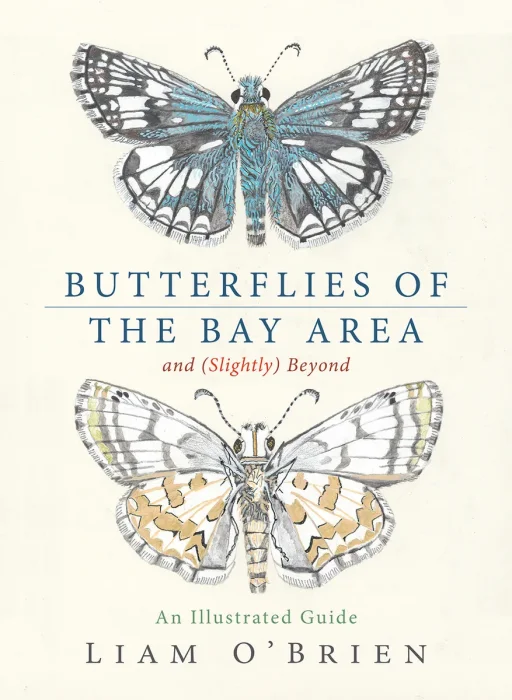 Butterflies of the Bay Area and (Slightly) Beyond: An Illustrated Guide