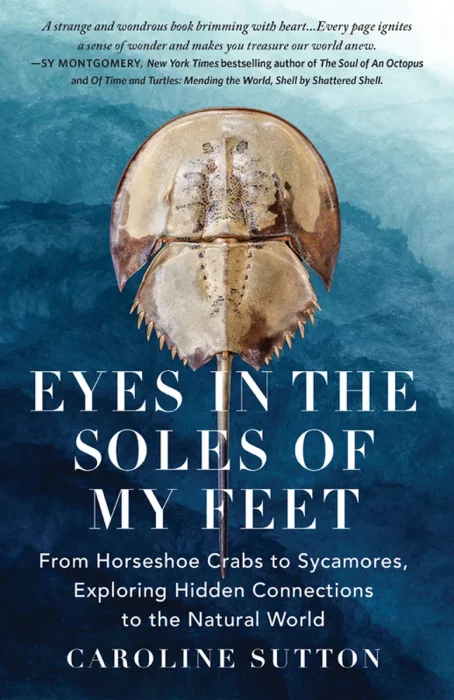 EYES IN THE SOLES OF MY FEET: From Horseshoe Crabs to Sycamores&#44; Exploring Hidden Connections to the Natural World