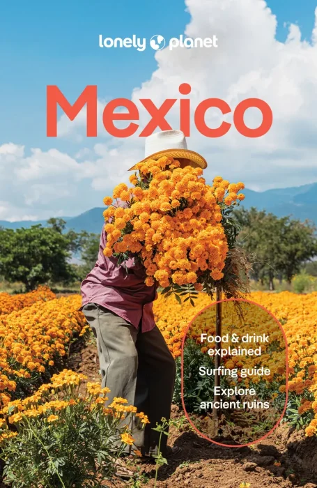 Lonely Planet Mexico, 19th Edition