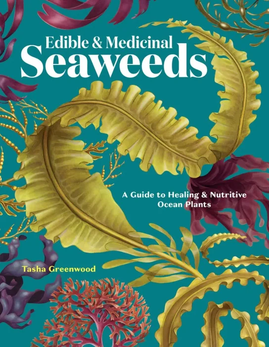 Edible & Medicinal Seaweeds: A Guide to Healing & Nutritive Ocean Plants