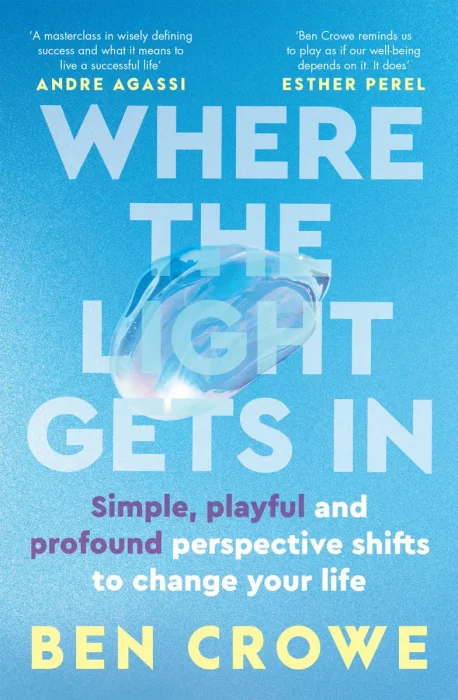 Where the Light Gets In: Simple, playful and profound perspective shifts to change your life
