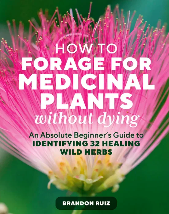 How to Forage for Medicinal Plants without Dying: An Absolute Beginner's Guide to Identifying 32 Healing Wild Herbs