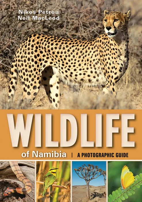 Wildlife of Namibia: A photographic guide