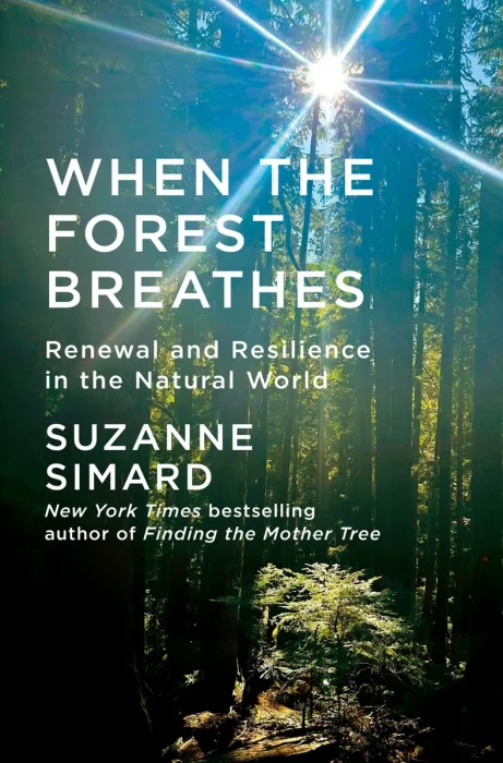 When the Forest Breathes: Renewal and Resilience in the Natural World
