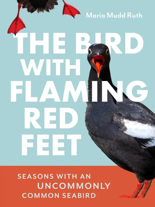 The Bird with Flaming Red Feet: Seasons with an Uncommonly Common Seabird