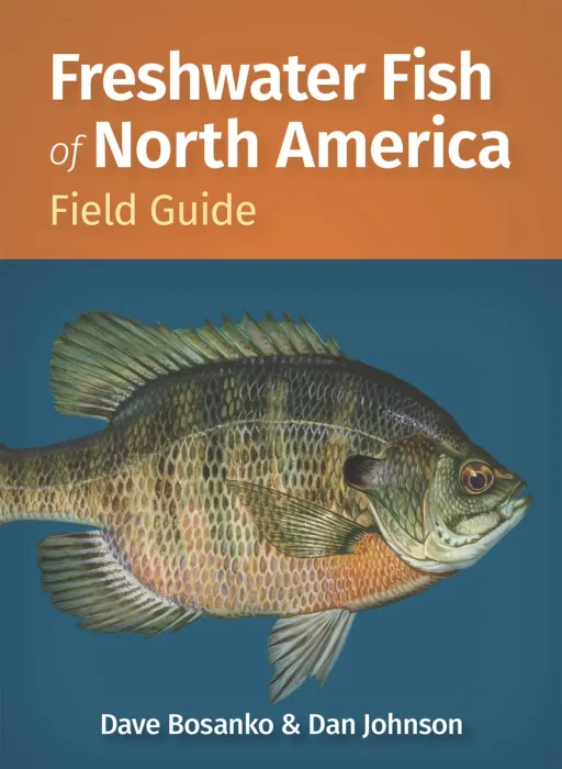 Freshwater Fish of North America Field Guide (Fish Identification Guides)