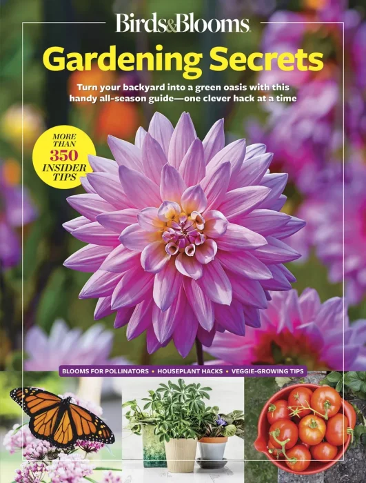 Birds & Blooms Gardening Secrets: All-Season Guide with Expert Tips and DIY Ideas for Thriving Gardens (Birds & Blooms Guide)