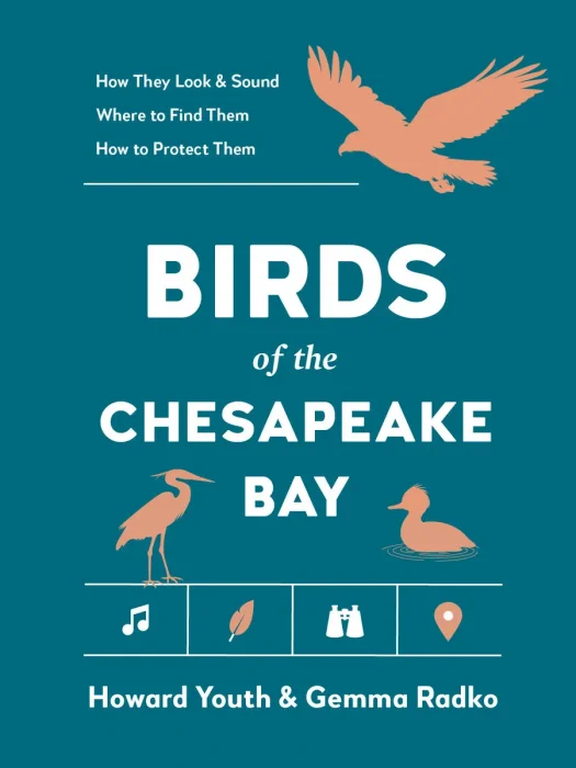 Birds of the Chesapeake Bay (Best Little Book of Birds)