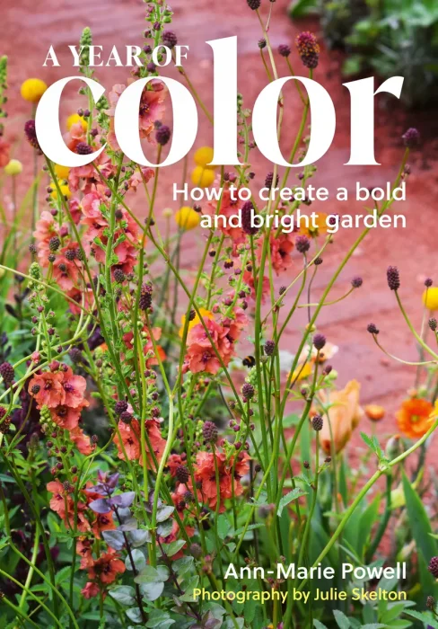 A Year of Color: How to create a bold and bright garden
