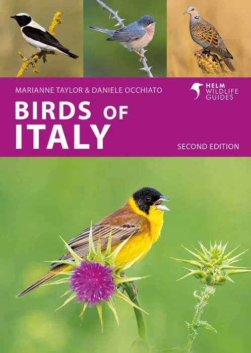 Birds of Italy  (Helm Wildlife Guides), 2nd Edition