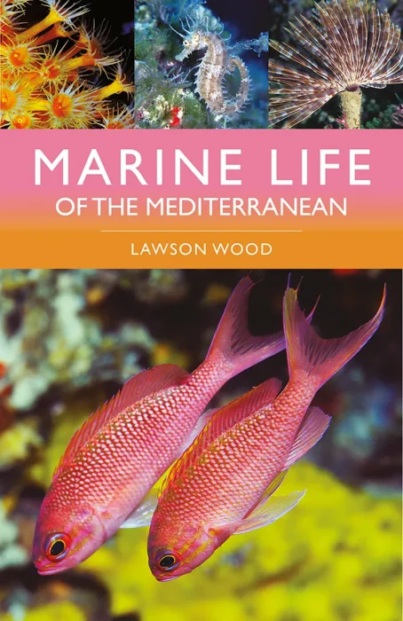 Marine Life of the Mediterranean (Bloomsbury Naturalist)