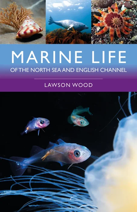 Marine Life of the North Sea and English Channel, 2nd Edition