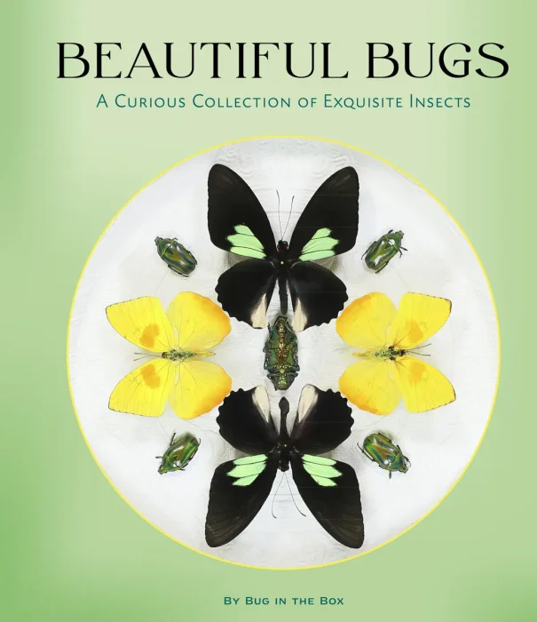 Beautiful Bugs: A Curious Collection of Exquisite Insects