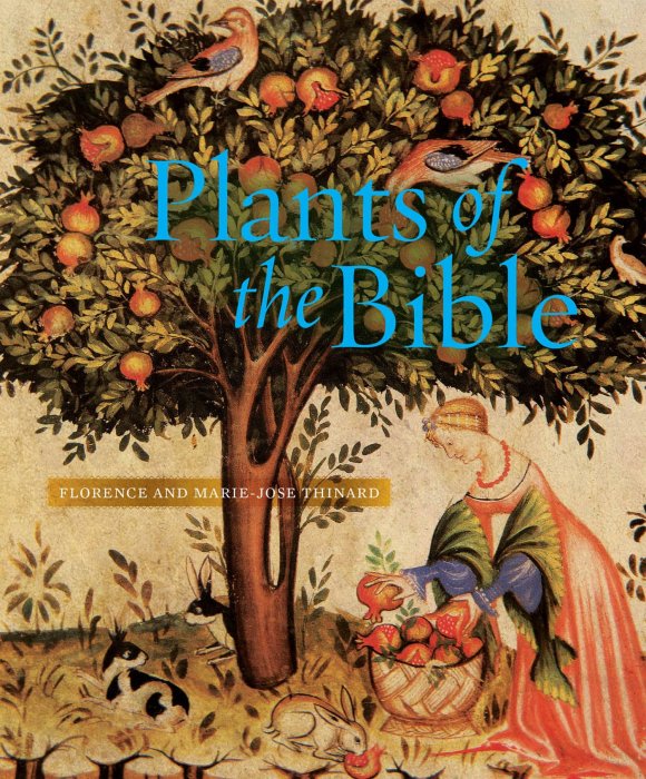 Plants of the Bible