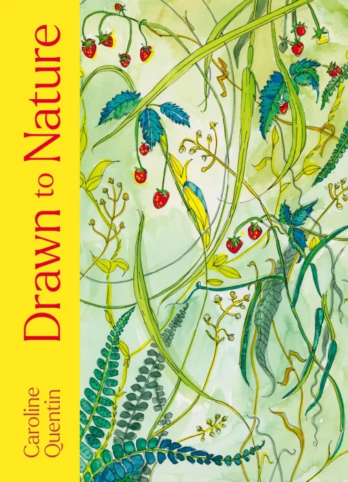 Drawn to Nature