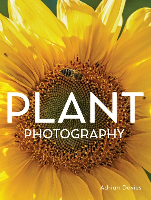 Plant Photography (Photography)