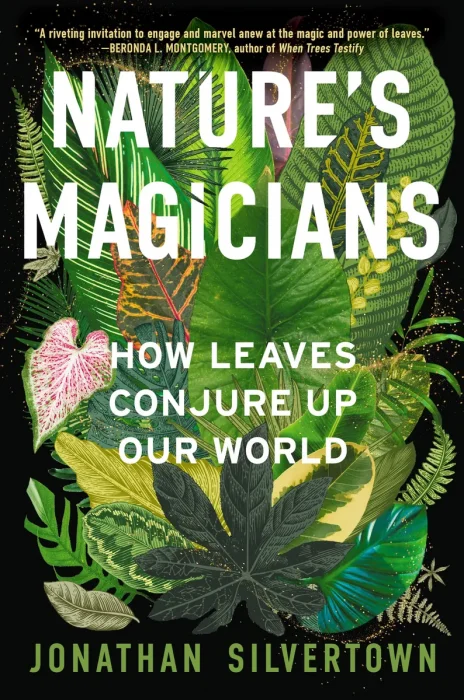Nature's Magicians: How Leaves Conjure Up Our World